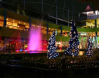 Christmas Wallpapers 188